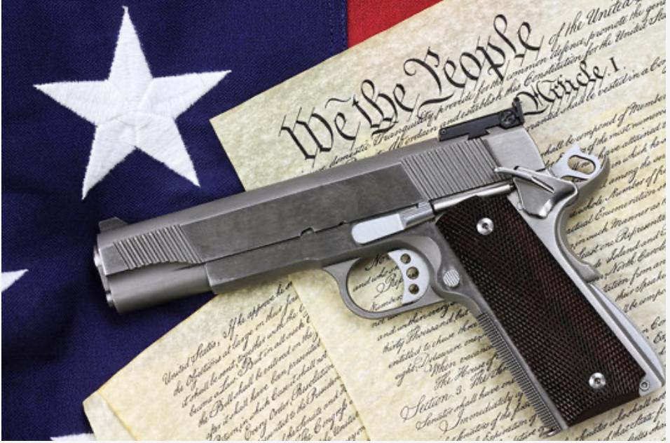 Members at Diasporans Firearm Club event